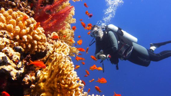Phuket Small Group Scuba Diving Maithon Island Up to 2 Dive for Beginner