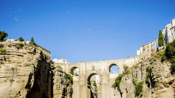 Ronda: Guided Tour from Málaga