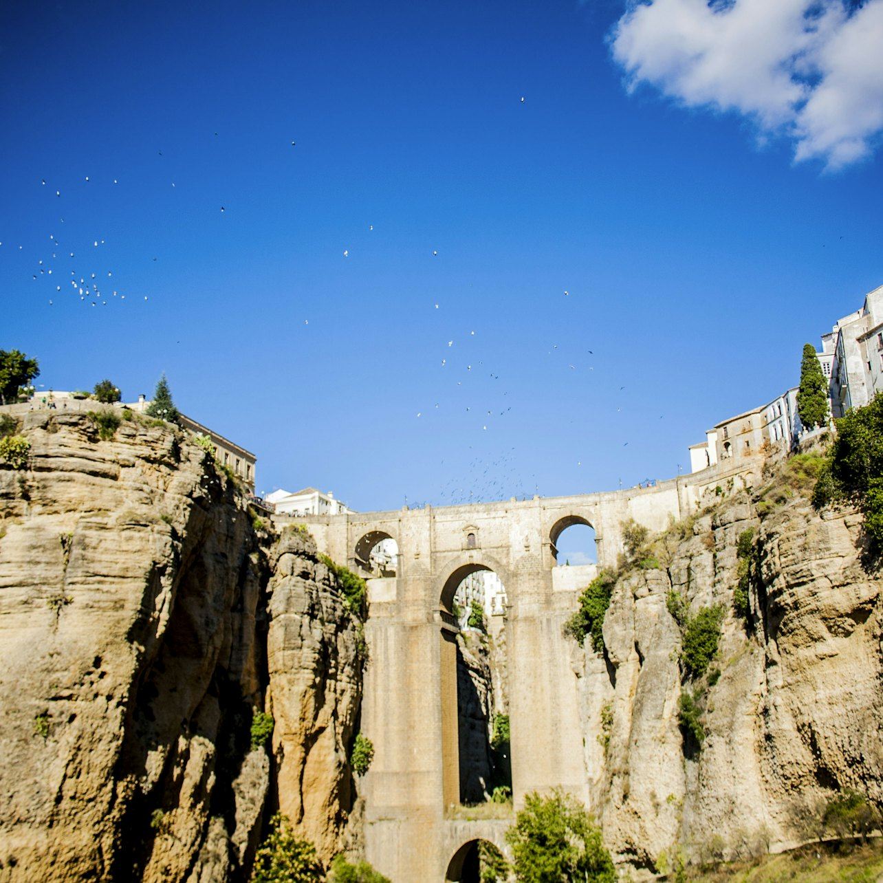 Ronda: Guided Tour from Málaga