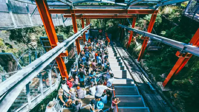 雪梨藍山國家公園+動物園一日遊