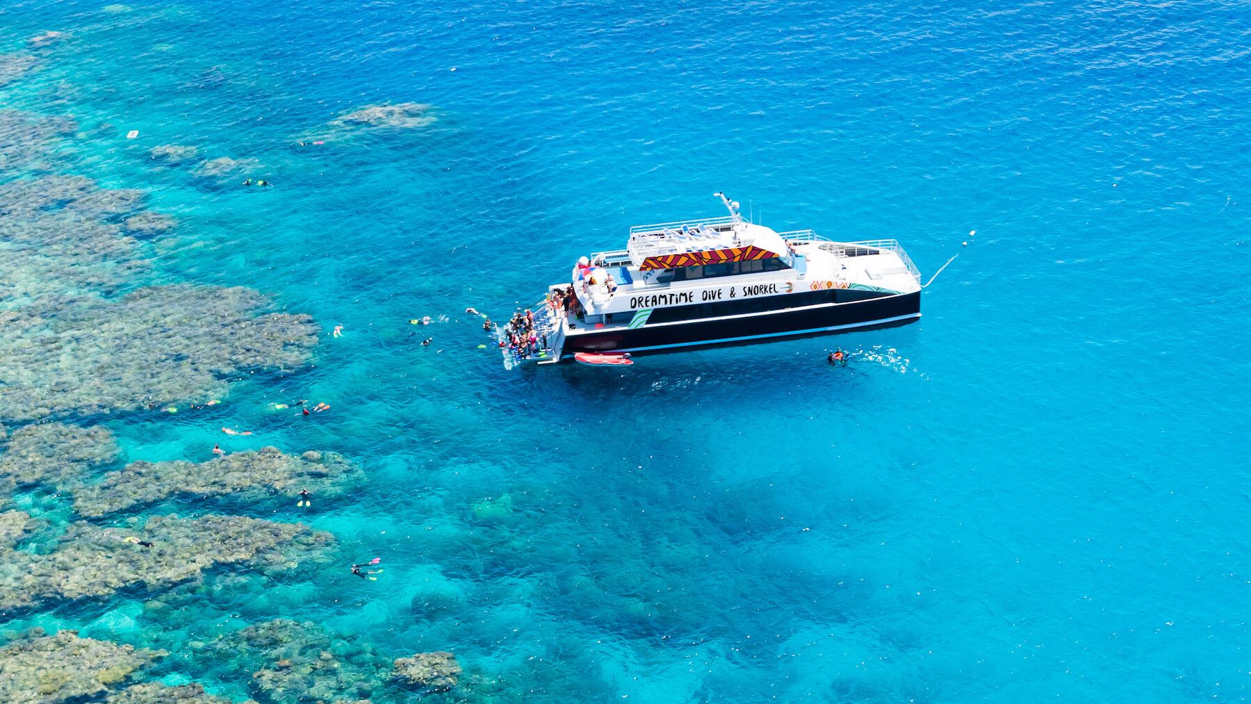 Cairns Australia Dreamtime Double Reef one-day tour 2 Dive Sites + 5 Hours of Fun + Meals Included