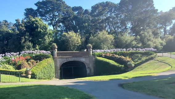 美國舊金山金門公園+九曲花街+大黃蜂號航空母艦博物館一日遊