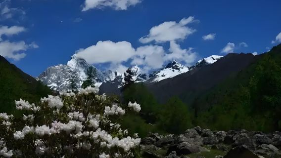 Depart from Chengdu: 1-day tour to Shuangqiaogou in Siguniang Mountain (Snow Mountain and Sea of ​​Flowers)|Experienced driver)
