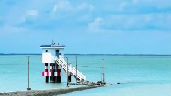 Shanghai Chongming Island 1-day tour [private tour with optional natural attractions/farmhouse dining/folk activities]