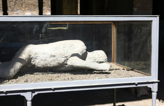 龐貝考古遺址半日遊連當地嚮導成人（12歲或以上）