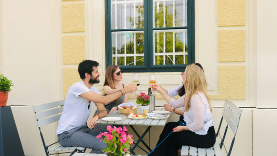 ViennaExperiences