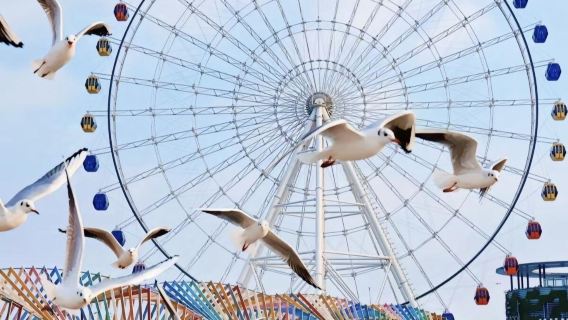 tour di un giorno alla Golden Beach della costa occidentale di Qingdao + City Balcony + Oriental Movie noleggio con conducente esclusivo (disponibile in inglese)