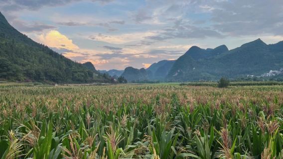 Цяньсинань - Ваньфэнлинь + Каньон Малинхэ - гид/ VIP- индивидуальный трансфер/аренда автомобиля с водителем/ однодневный тур