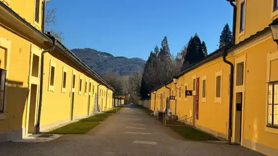 Private 6 hour guided e-bike tour to the filming locations of "The Sound of Music Movie" with the trick fountains