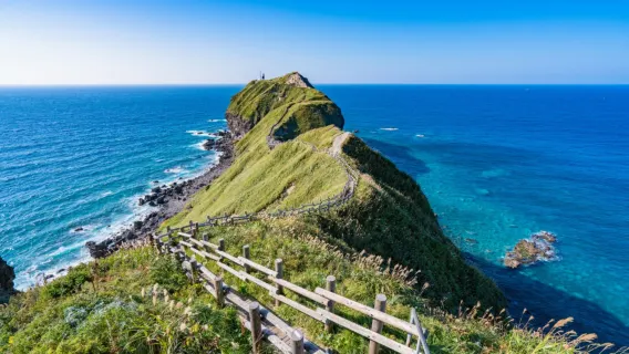 Japan Hokkaido Sapporo White Lover Park + Otaru + Cape Kamui one-day tour[Secret Land Shakotan Blue]