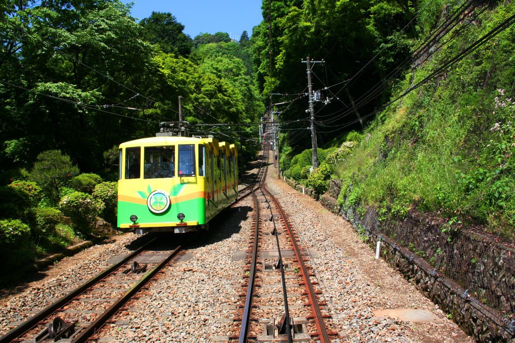 【官方票】京王線一日券（高尾山/讀賣樂園電車票+讀賣樂園門票多套餐可選）