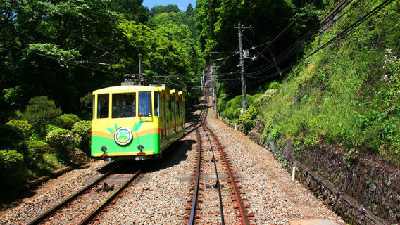 京王線1日乗車券｜高尾山・よみうりランド公式セット | Trip.com