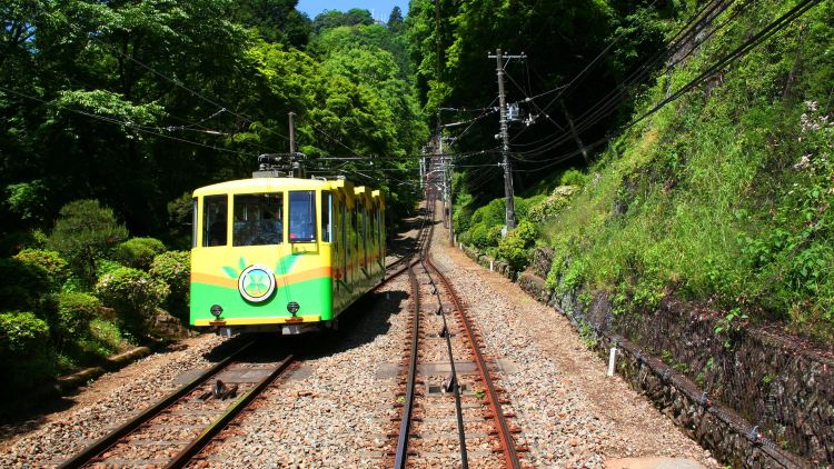京王線1日乗車券｜高尾山・よみうりランド公式セット | Trip.com