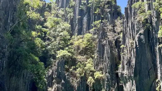El Nido Tour D Pure Lagoon Bliss & Beach Vibes