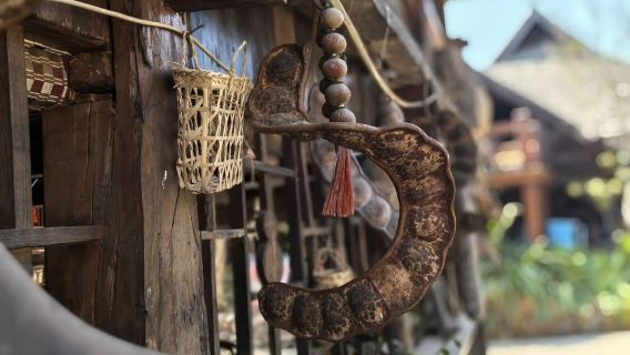 [Puer Departure] Nuogan Ancient Village + Jingmai Mountain Ancient Tea Garden + Wengji Ancient Village One-Day Tour | 8-Person Group