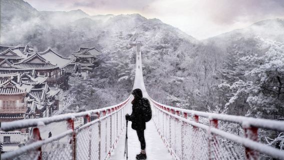 SeoulTours