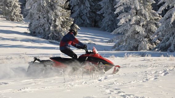 TromsoTour giornalieri
