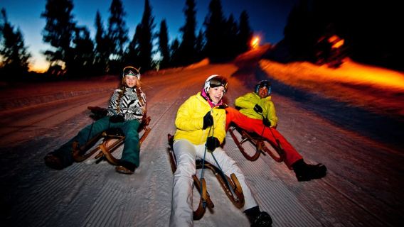 From Interlaken: Night Sledding with Cheese Fondue Dinner