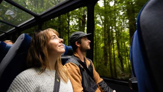 Ab Te Anau: Milford Sound-Kreuzfahrt und Tagesausflug mit dem Bus