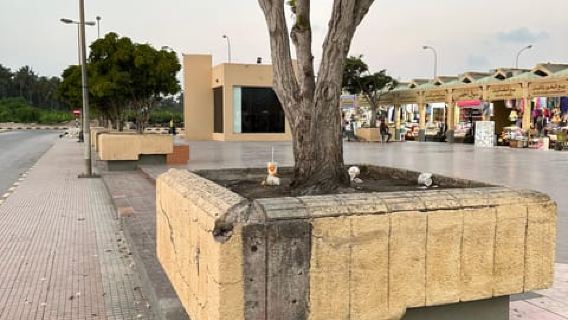 Salalah storica: visita guidata della città tra patrimonio e cultura