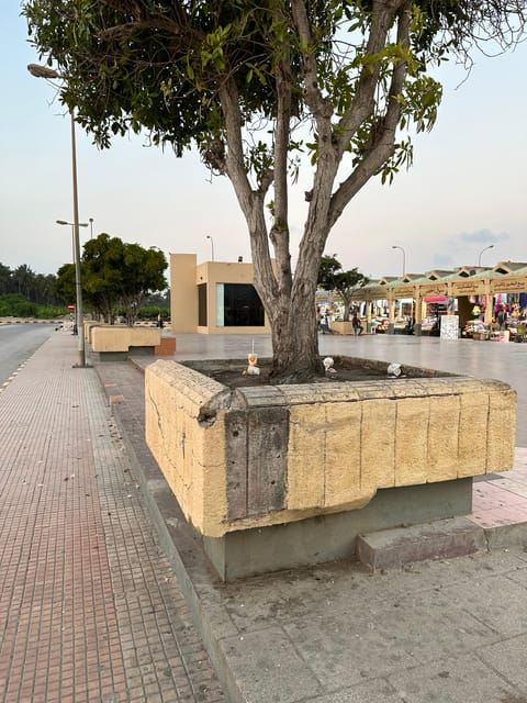 Historical Salalah: Guided City Tour of Heritage & Culture