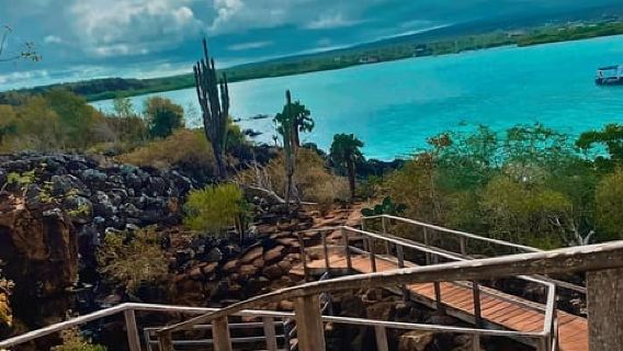 excursión de un día por la bahía de la isla Santa Cruz