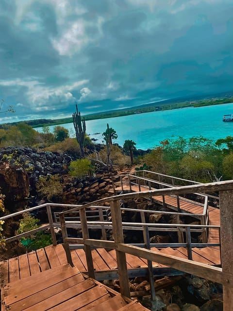 ทัวร์ครึ่งวันอ่าวบนเกาะซานตาครูซ