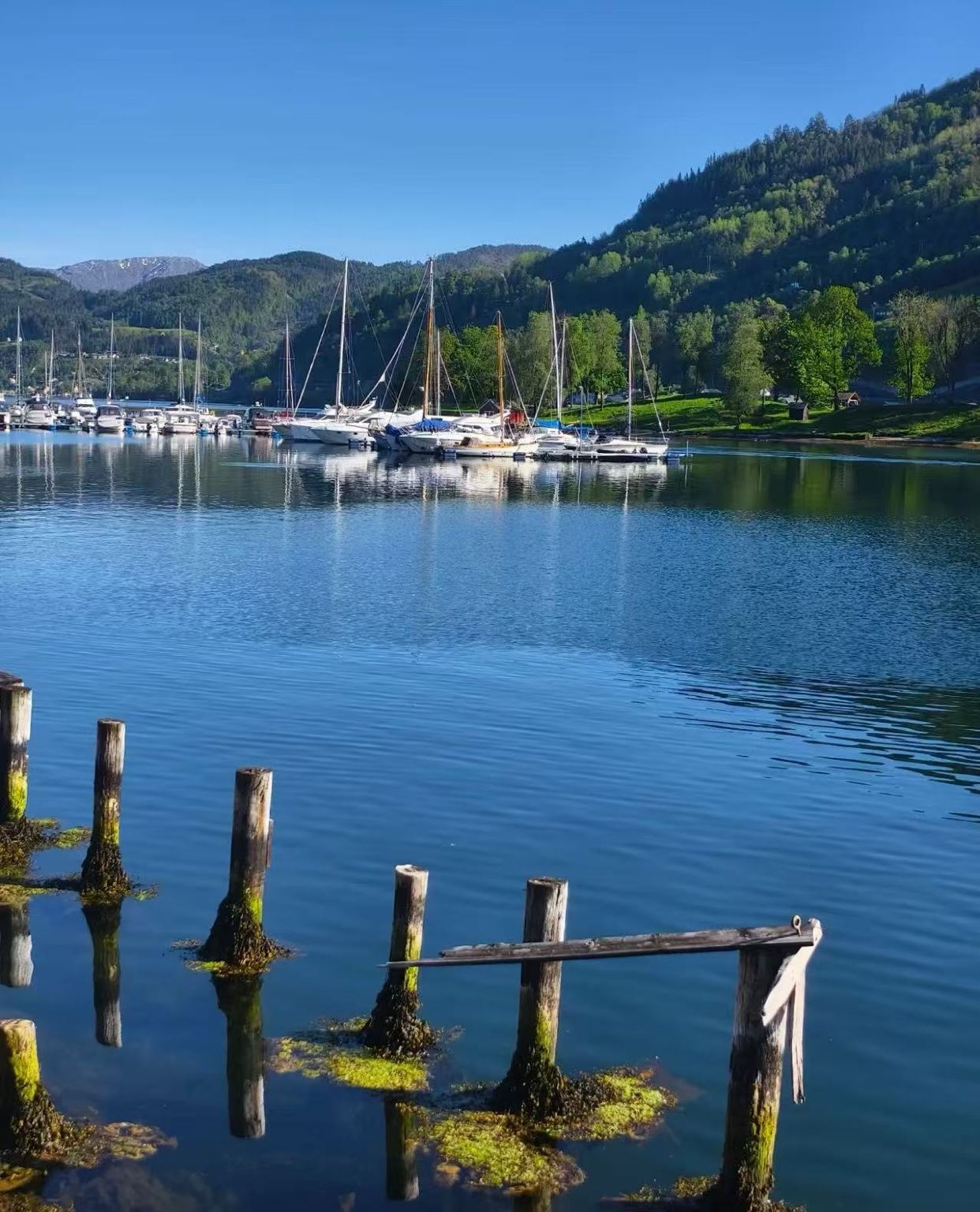 挪威卑爾根—努爾黑姆鬆小鎮+哈當厄峽灣【中文包車+景點可調】