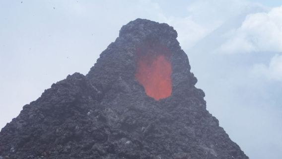 Da Antigua: escursione giornaliera al vulcano Pacaya
