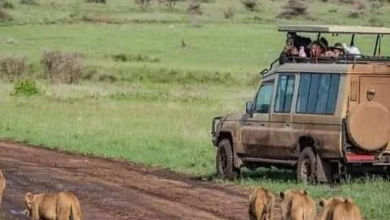 จากแซนซิบาร์: Serengeti 3 วัน, Ngorongoro Private Safari