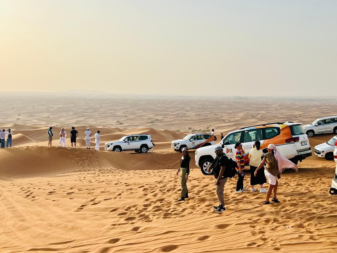 Desert Safari Including BBQ Dinner, Dune Bashing, Live Shows (Belly Dance, etc.)