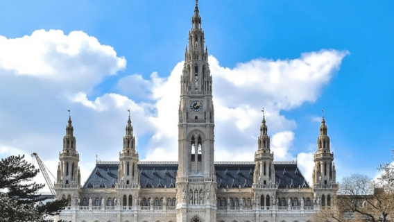 Vienne : visite guidée à pied du marché de Noël
