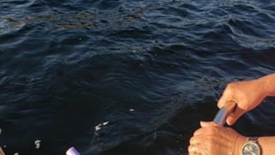 ริโอเดจาเนโร: ทัวร์ล่องเรือชมพระอาทิตย์ตกพร้อมของว่างและเครื่องดื่ม