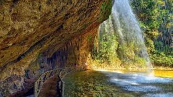 From Nha Trang: 1 Day Dalat Tour