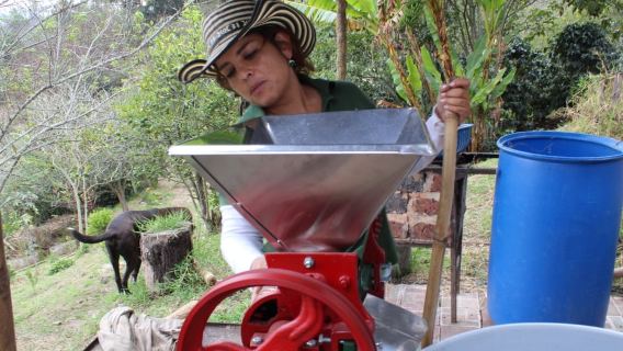Bogotà: tour guidato di mezza giornata alle piantagioni di caffè