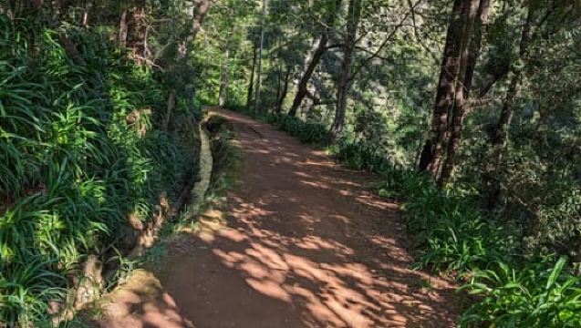 From Funchal: Pico Arieiro Sunrise with Optional Breakfast