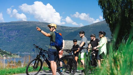 Olden: Tour guidato in e-bike