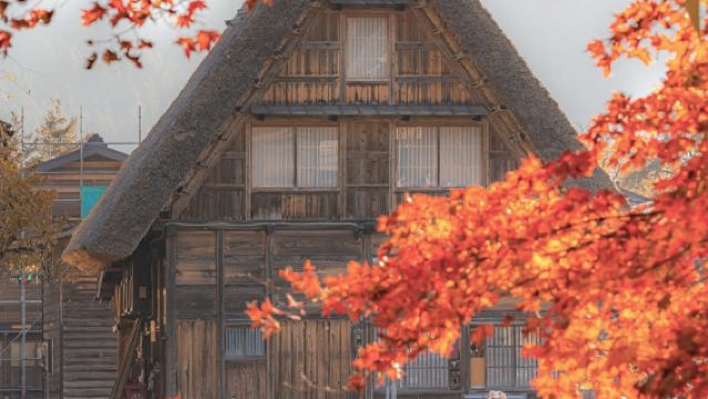 9人小團·名古屋白川鄉一日遊 丨童話小屋白川鄉合掌村不含門票