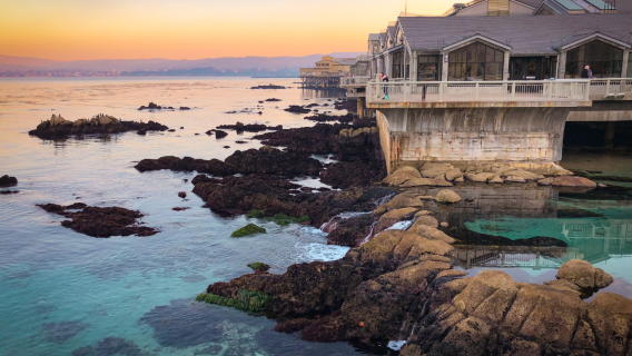 【加州1號公路】蒙特雷灣+17里灣+圓石灘+卡梅爾小鎮