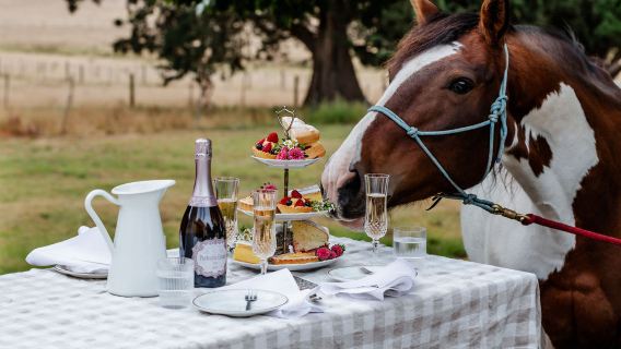 墨爾本亞拉河谷+普芬比利蒸汽火車一日遊【四人成團/天天出發】