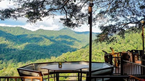 Chiang Mai: Tagesausflug zum Giant Café und zum Dorf Mae Kampong