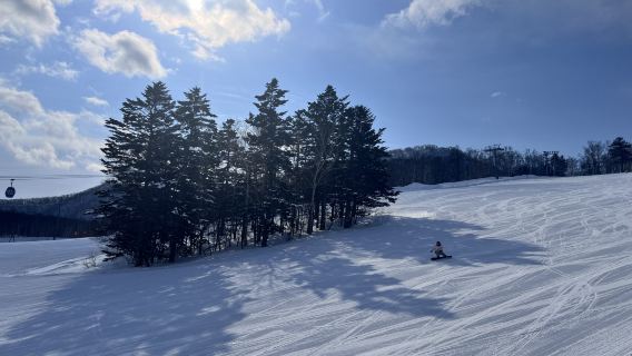 Private Ski Lessons at Mount Moiwa, Hokkaido [Internationally Certified Instructors | Instruction in Chinese/English]