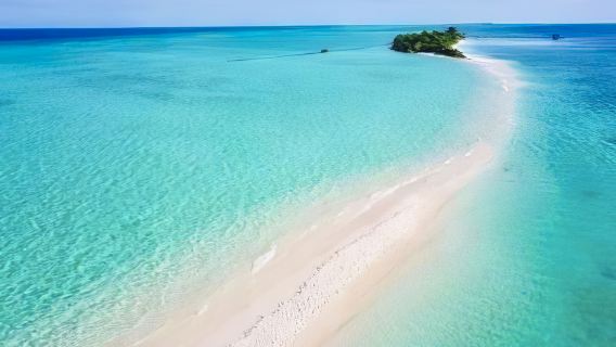 Semporna: Tour khám phá 3 đảo lặn biển hoặc lặn có ống thở & ăn trưa