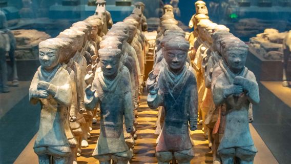 Servicios de guía profesional en español en Xi'an para grupos y acompañamiento local, itinerarios personalizables