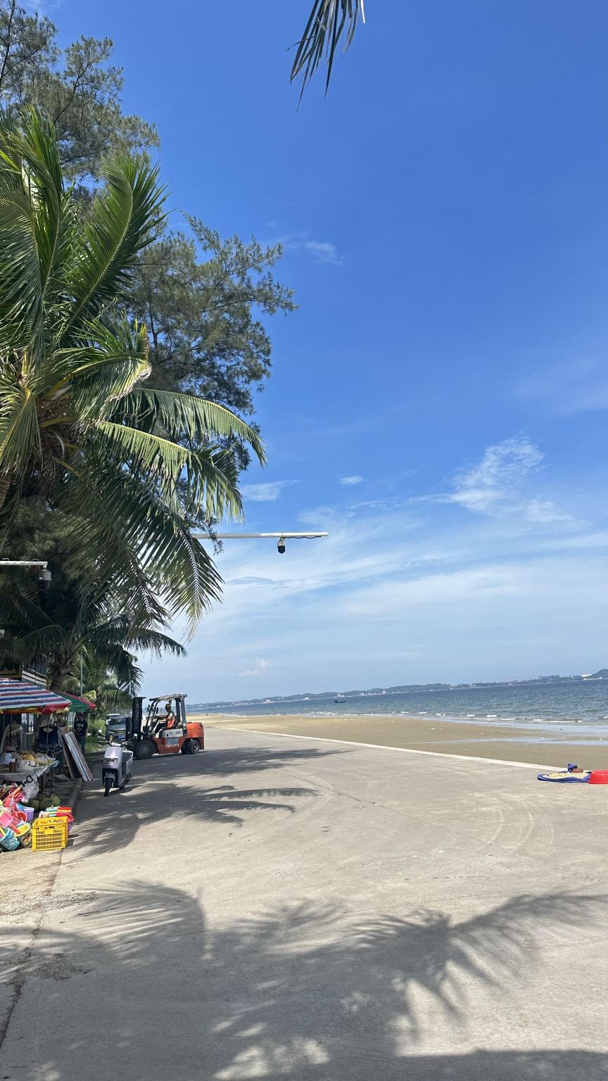 Beihai Old Street + Golden Beach + Liuxiacun + Guan Touling National Forest Park 1-day tour with English service available