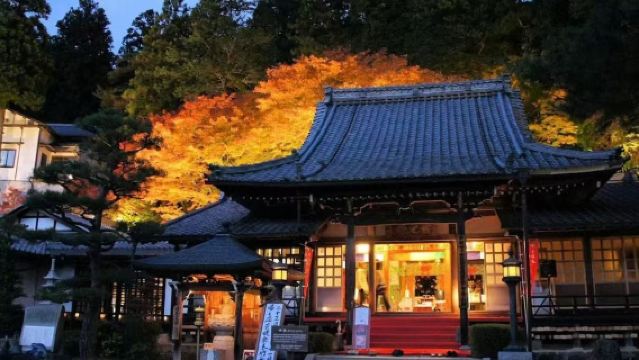 日本小樽/函館/旭川/富良野/美瑛/登別-札幌包車可訂全境