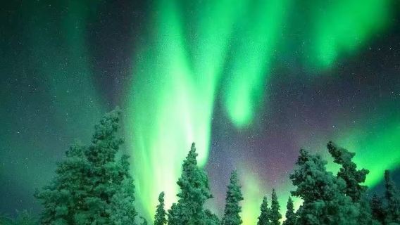 美國費爾班克斯狗拉雪橇+極光之旅+珍娜溫泉【中文定制包車】