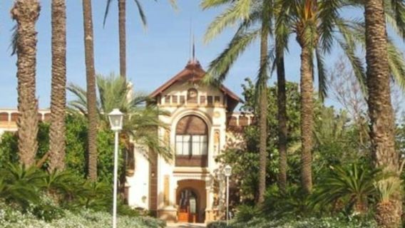 Huerto Ribera: Guided Orange Orchard Tour from Valencia + Food Tasting