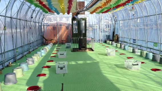 Harbin Flower, Bird, and Fish Camping and Fishing Base - Camp Activity[Ice tent + ice fishing + experience the thrill of ice and fire]