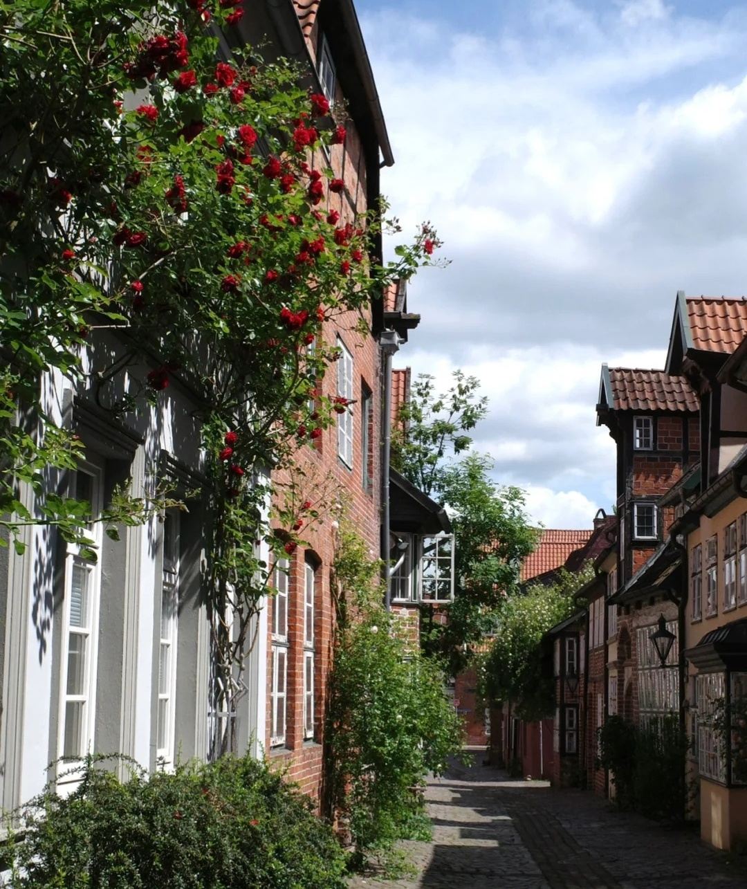 Hamburg to Luneburg round-trip - Old Brick Town Route - Salt Trade History Theme - Private Charter - Top Pick